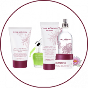 Vente en ligne cinq mondes